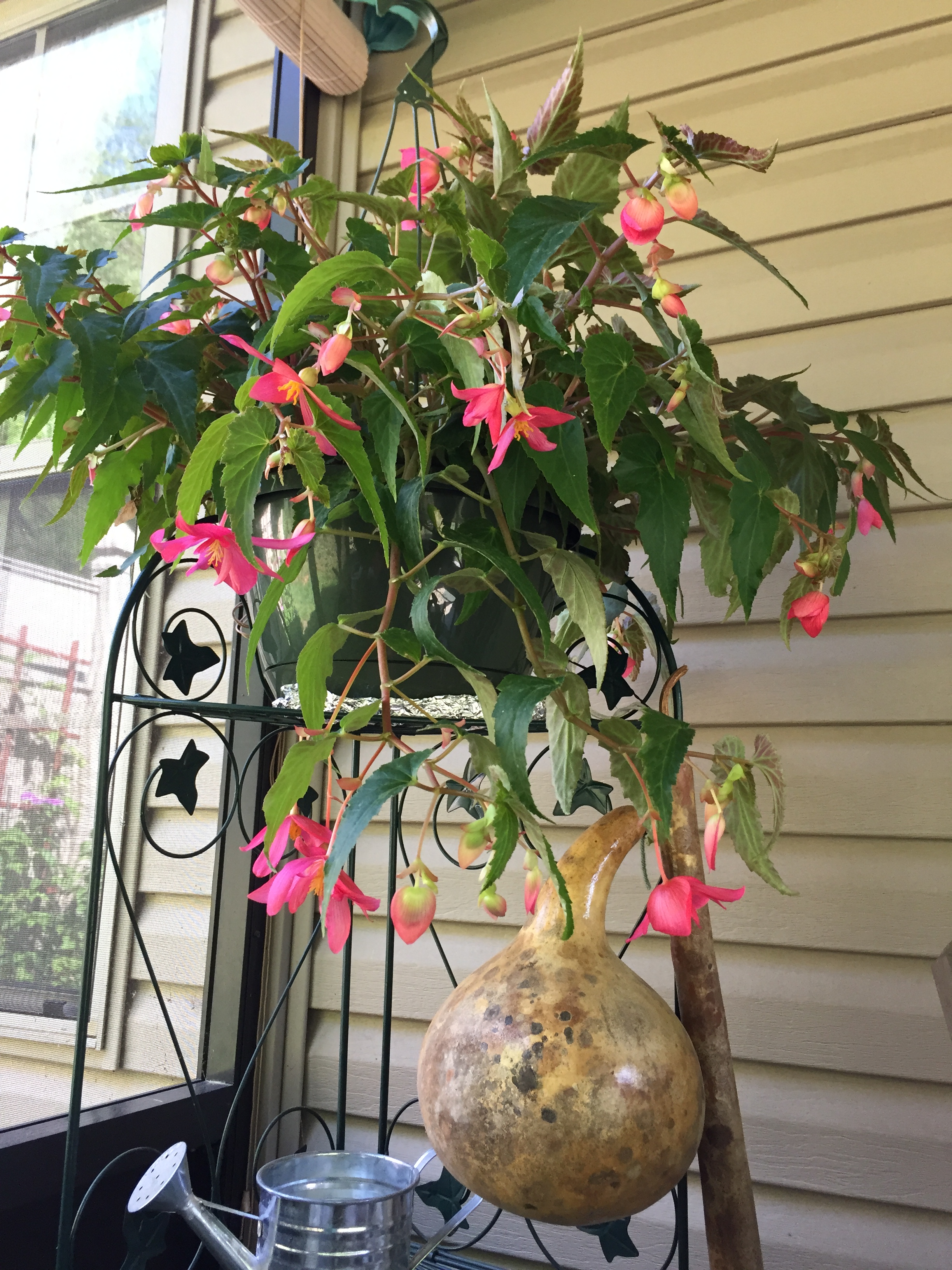 44479CC4-9A66-40D1-86A8-4F57F6996C8F