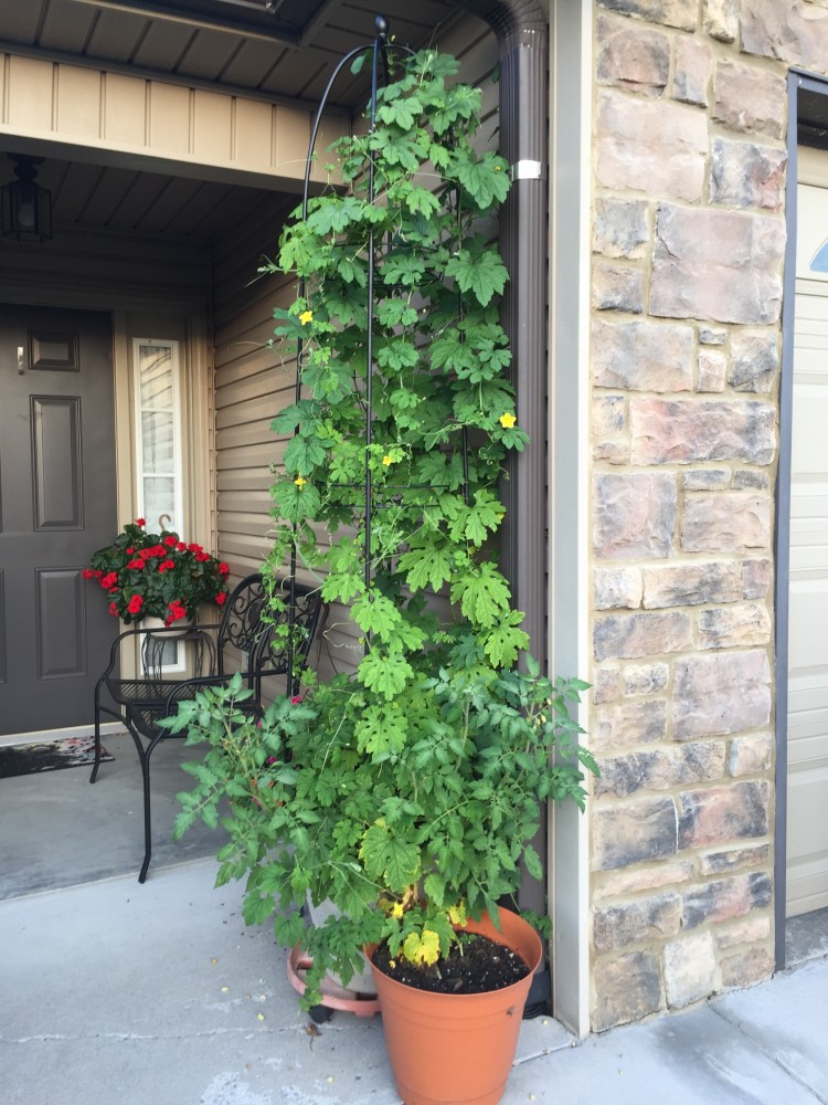 16635E31-6371-4512-A16E-E4B765E1F7A8