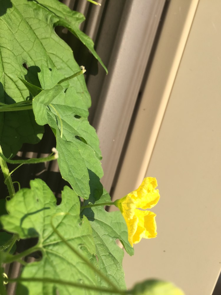 B4275256-E1E7-406D-9193-2F49F63F8428