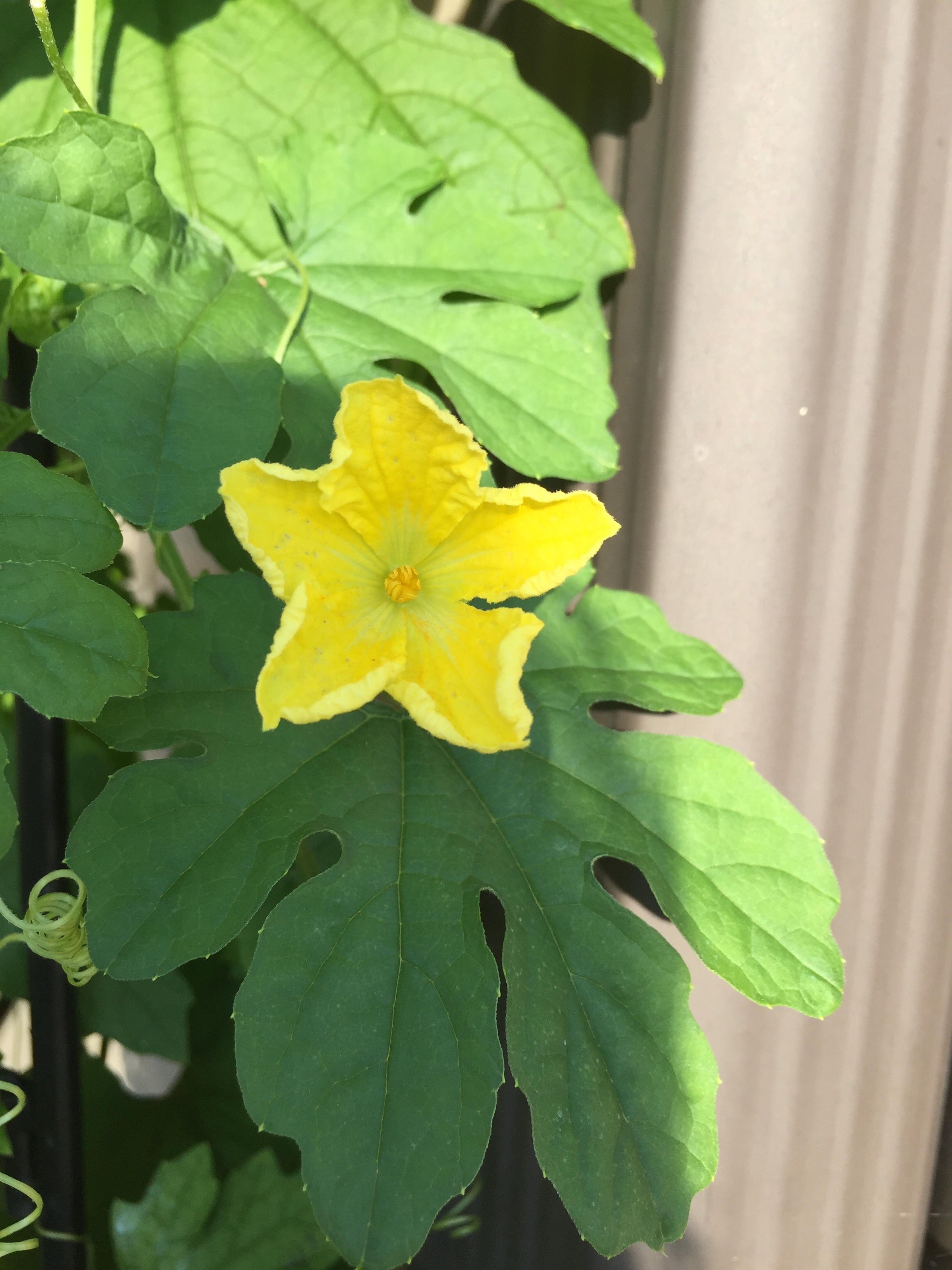 BACBFBC6-A964-40AA-A231-DEB83DD37268